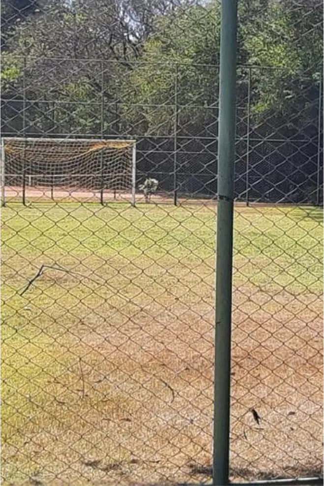 WhatsApp Image 2025-07-29 at 11.41.28(2)